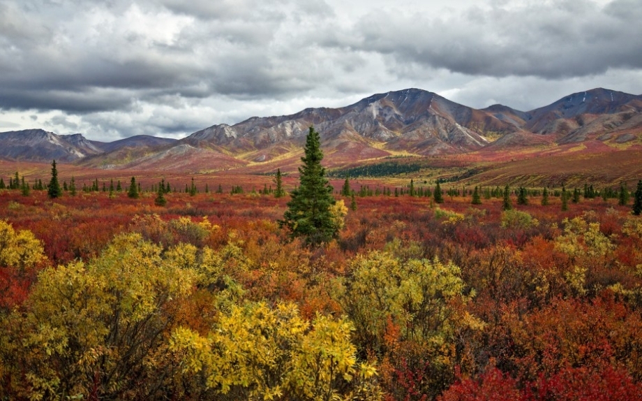 Красивая осень