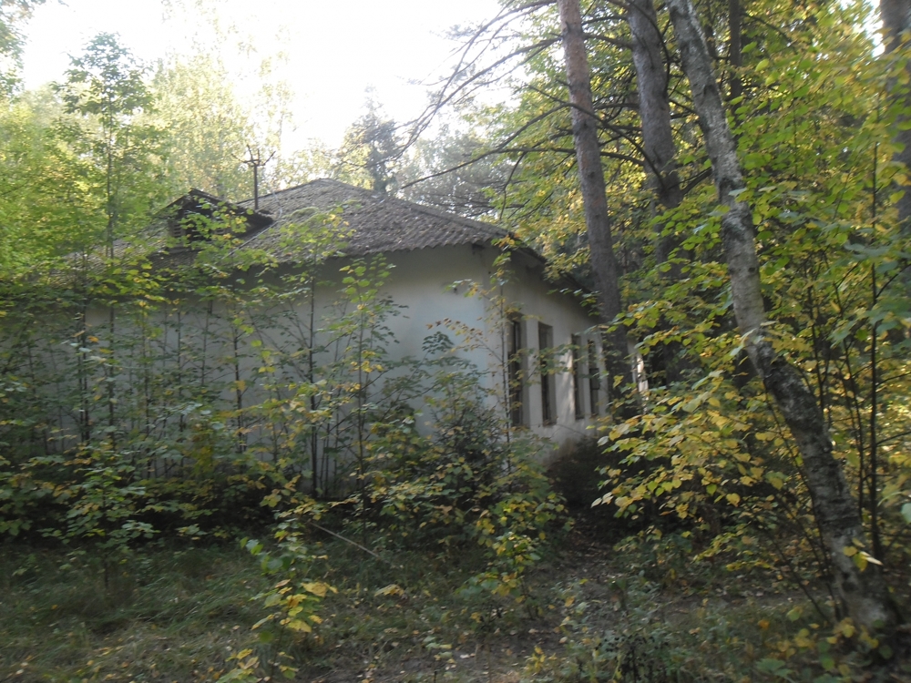 Забытое детство