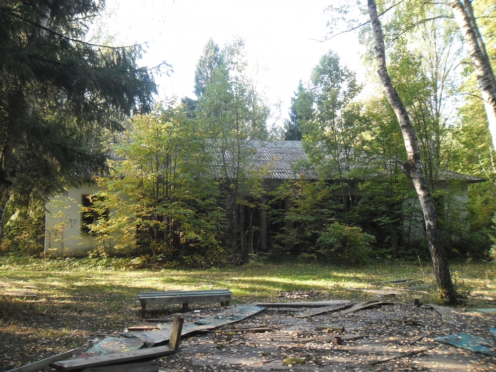 Забытое детство