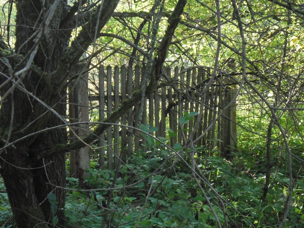 Забытое детство