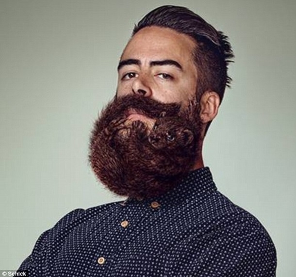  В Новой Зеландии хипстеров хотят отучить носить бороды