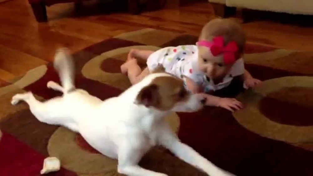 Пёс учит малышку... 