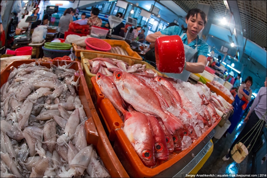 Рынок морских гадов в Китае