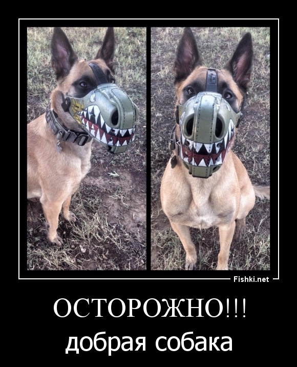 ОСТОРОЖНО!!!