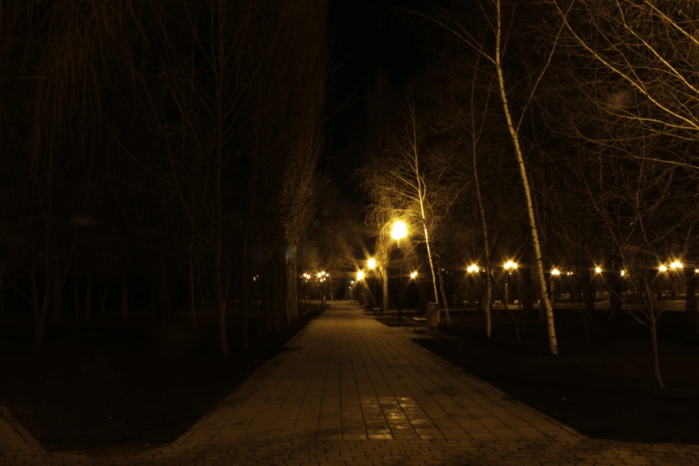 Ночная прогулка с фотоаппаратом 