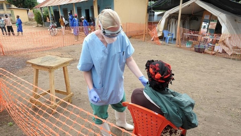 10 фактов про вирус эбола, которые стоит узнать прямо сегодня