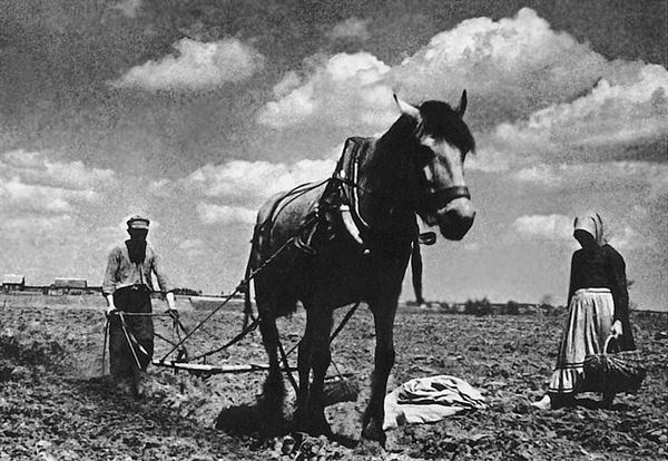 Фотограф войны Евгений Халдей