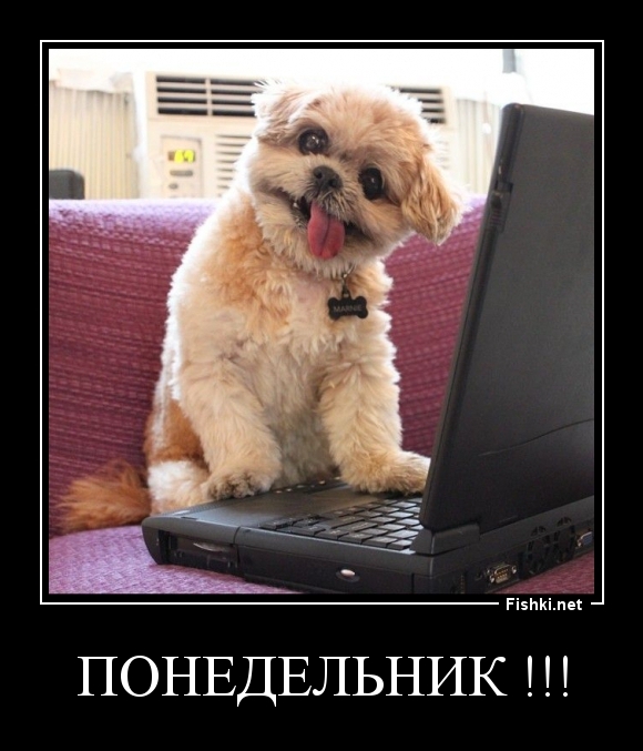 Понедельник !!!
