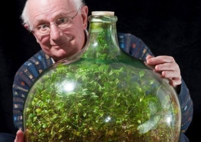 Растение уже более 50 лет живет в закупоренной бутылке