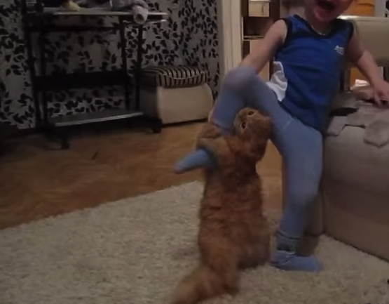 Кот воспитывает ребенка - очень смешно. Дай Лапу