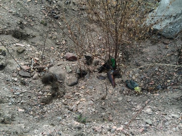 Под Донецком обнаружено захоронение мирных жителей
