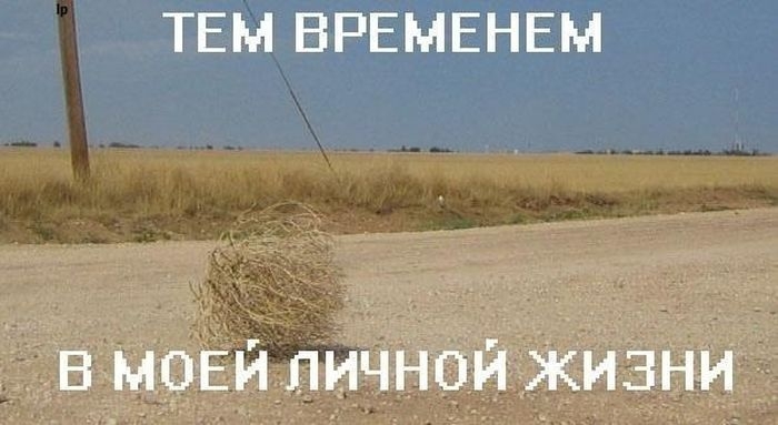 Картинки со смешными подписями