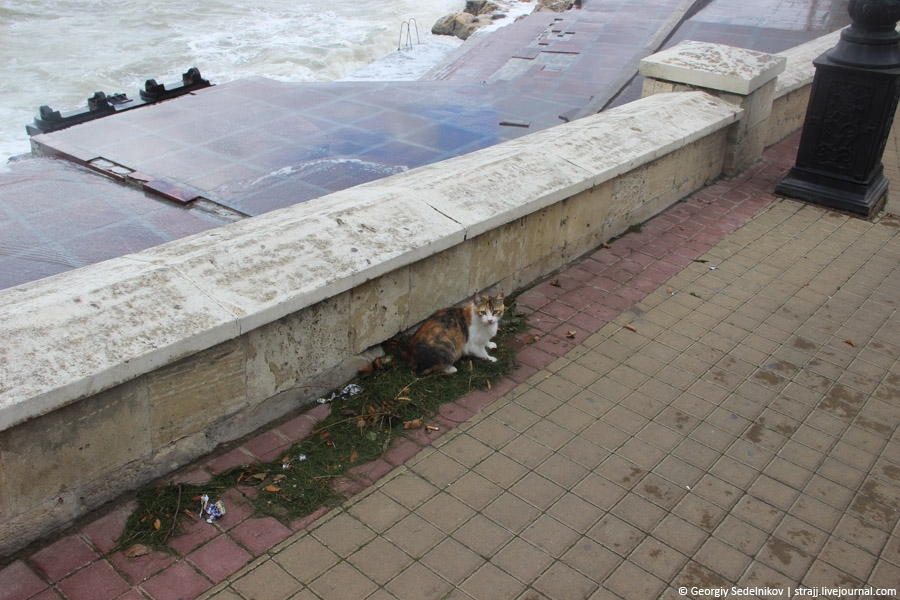 Шторм в Севастополе 24.09.2014