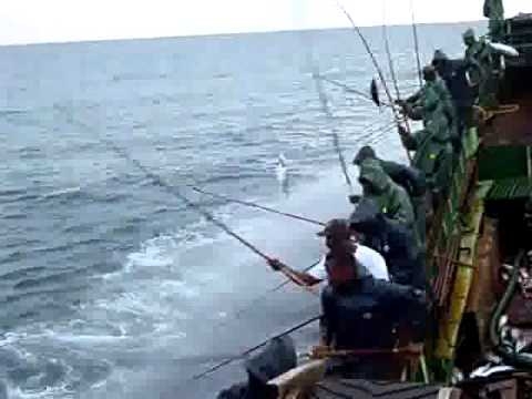 Как промыслово ловят рыбу на Мальдивах 