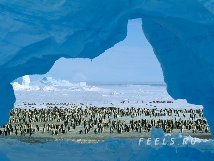 Антарктика, южная полярная область Земли