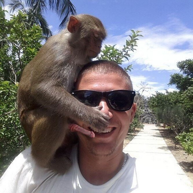Решил сфотографироваться с обезьянкой 