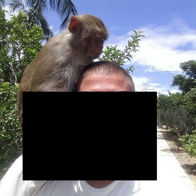 Решил сфотографироваться с обезьянкой 