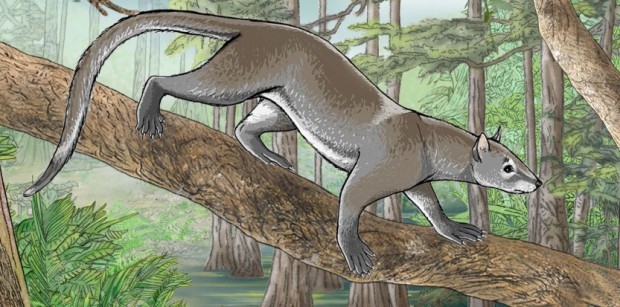 10 невероятных доисторических открытий, сделанных в 2014-м году