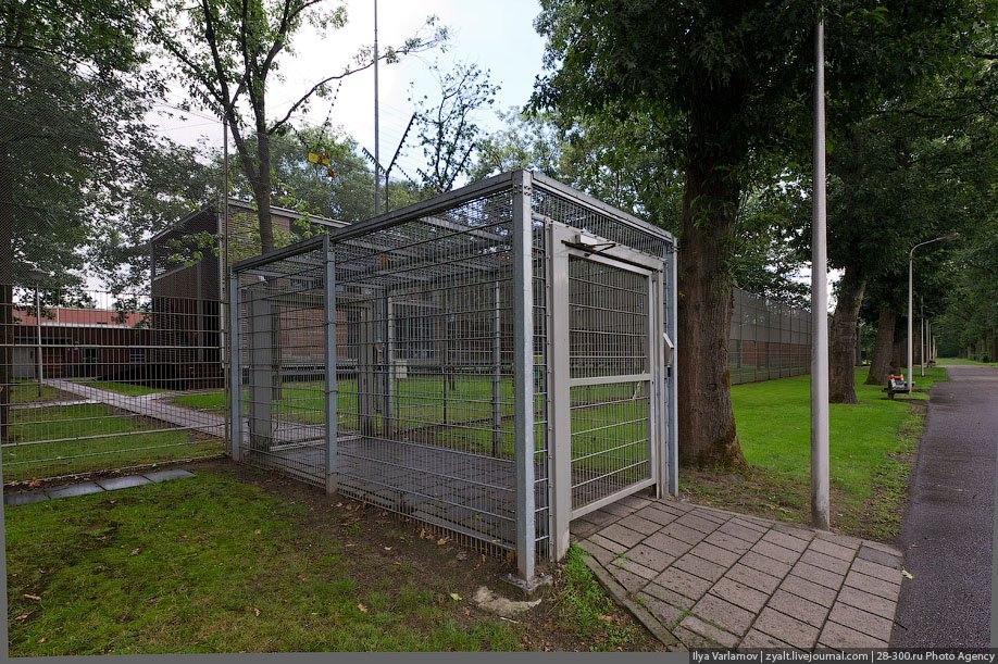 Тюрьма в Голландии