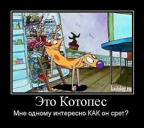 Демотиваторы 