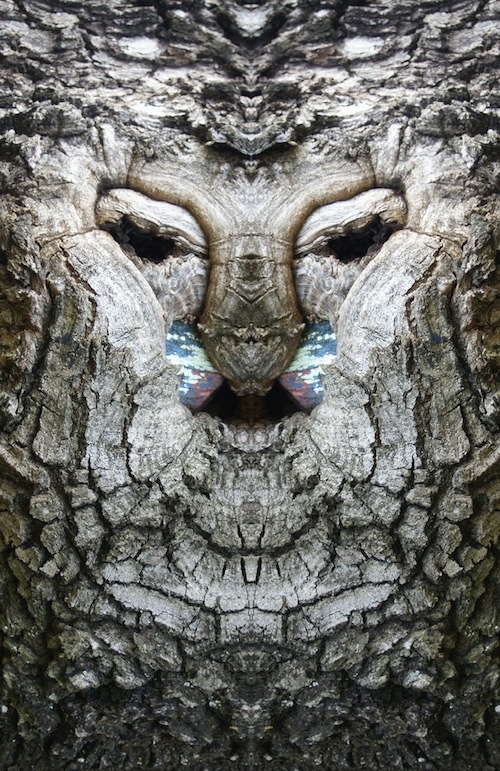 Певращение деревьев в сказочных персонажей при помощи зеркального отражения