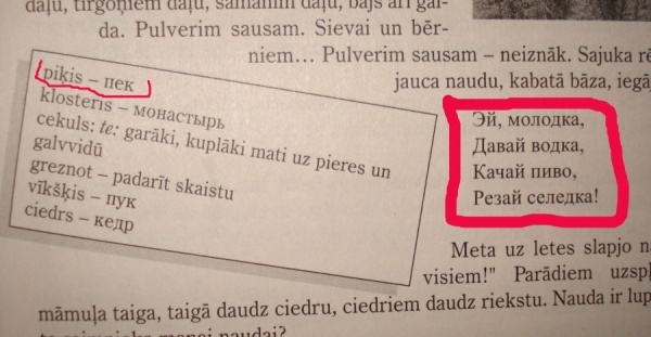 Сумасшедшие учебники русского для иностранцев