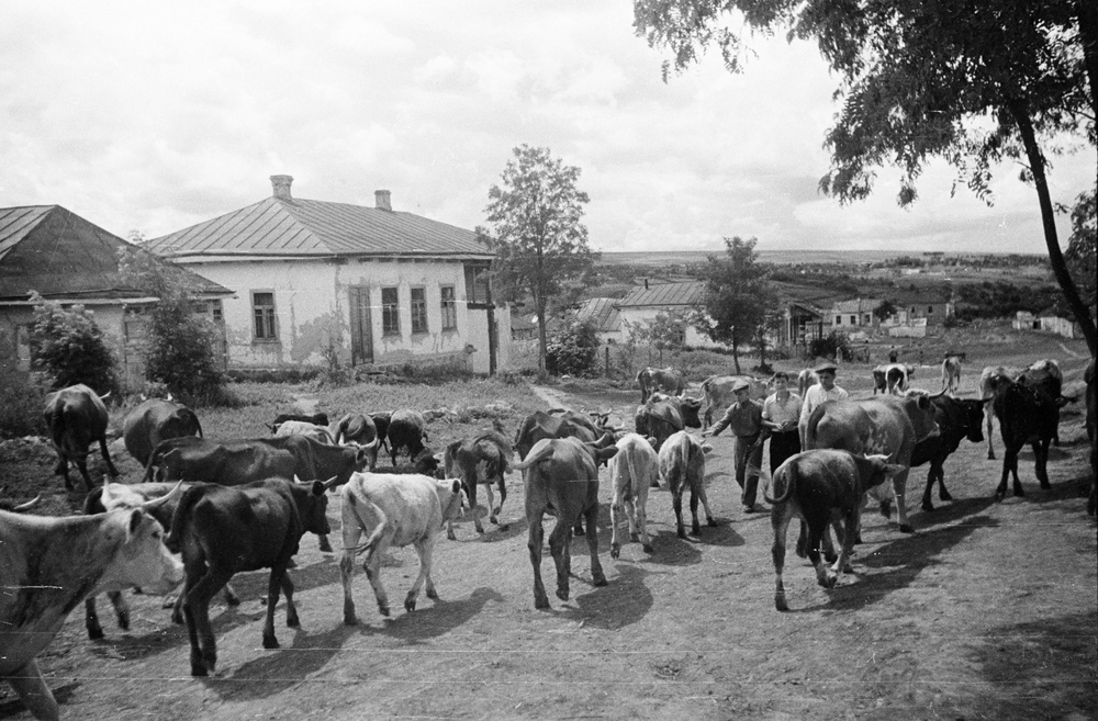 Жизнь украинского села