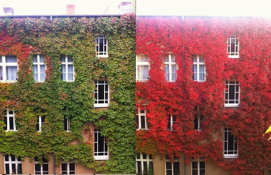 Осенние преображения: 12 пейзажей до и после