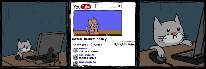 Про кота и Youtube