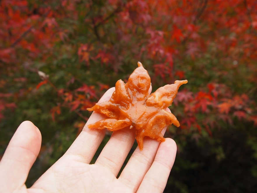Мечта дворника: японское лакомство из листьев клёна