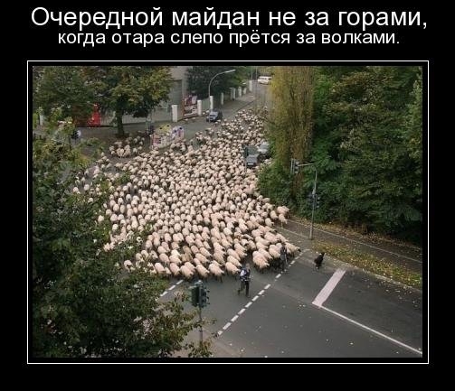 Демотиваторы про Украину