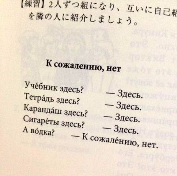 Почему иностранцы не понимают русских?