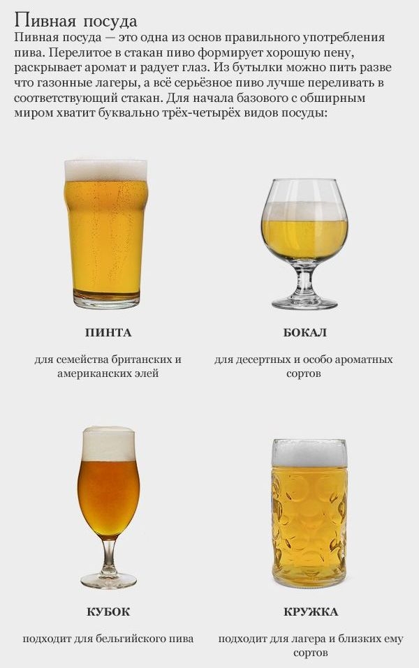 Как научиться разбираться в пиве