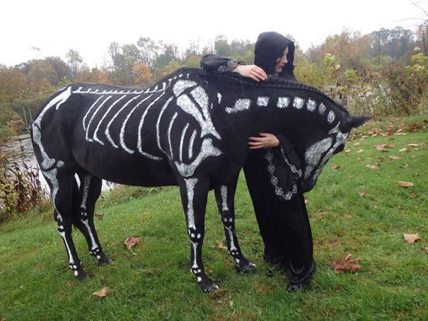 Ужасно милые костюмы на Хэллоуин для животных