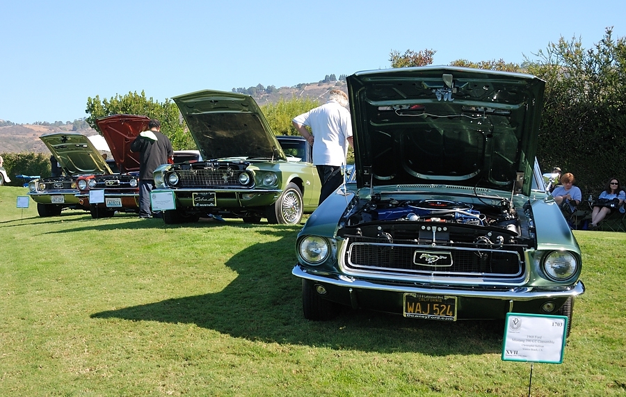 Mustang & Shelby