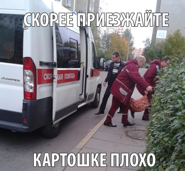 Картошке плохо 