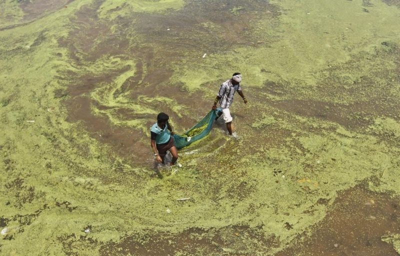 Загрязненные реки индии