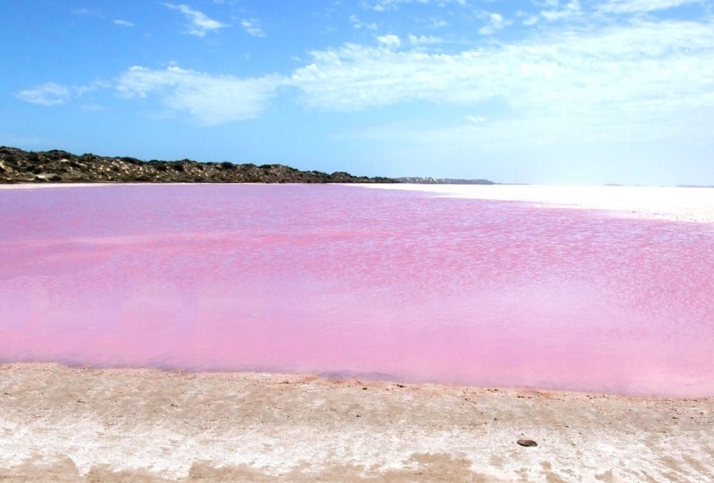 Удивительное розовое озеро Ретба, Сенегал