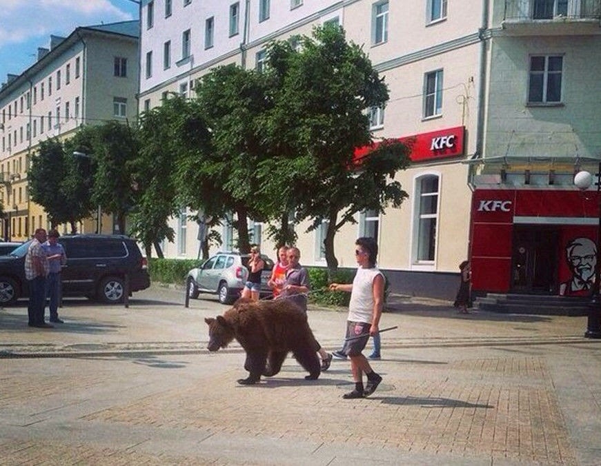 Чего только не увидишь на улице