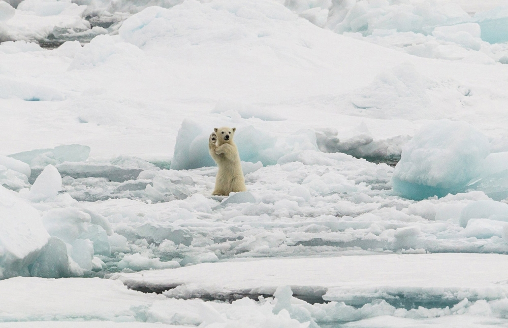 Лучшее с конкурса фотографии National Geographic 2014