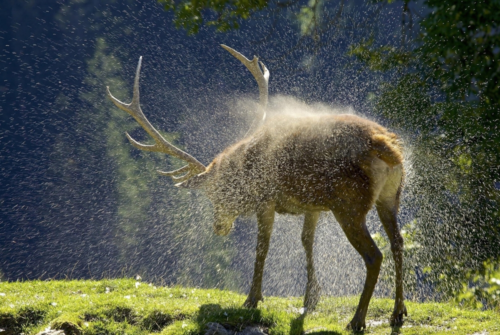 Лучшее с конкурса фотографии National Geographic 2014