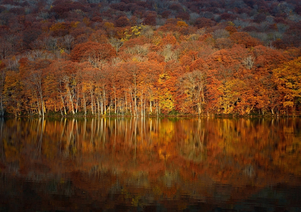 Лучшее с конкурса фотографии National Geographic 2014