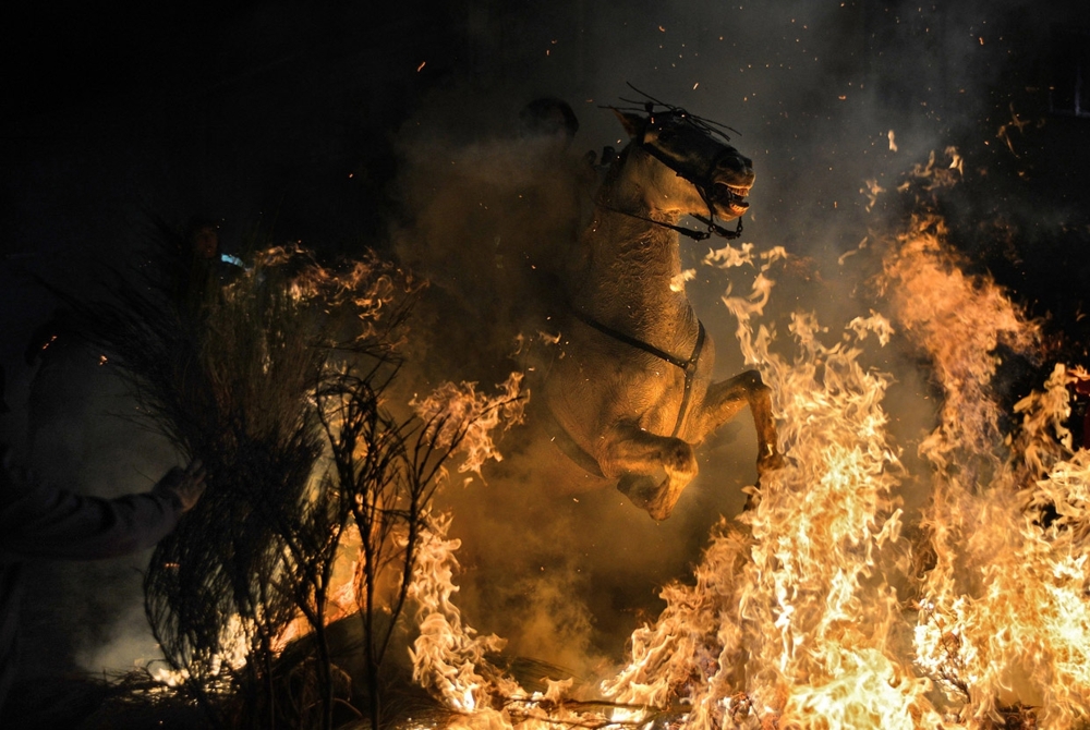 Лучшее с конкурса фотографии National Geographic 2014