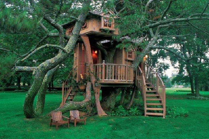 Самые красивые дома на деревьях со всего мира
