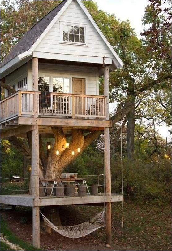 Самые красивые дома на деревьях со всего мира