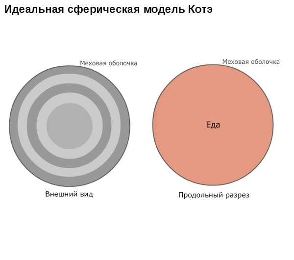 Коты средствами математики