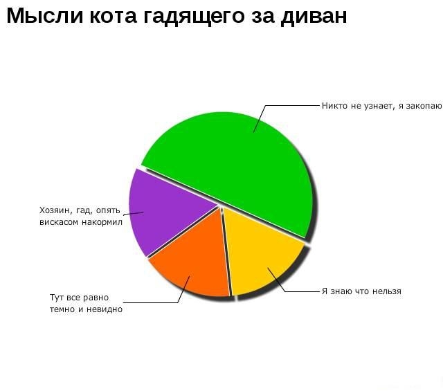 Коты средствами математики