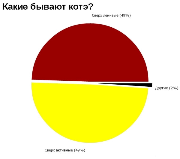 Коты средствами математики