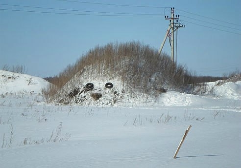 Веселые картинки