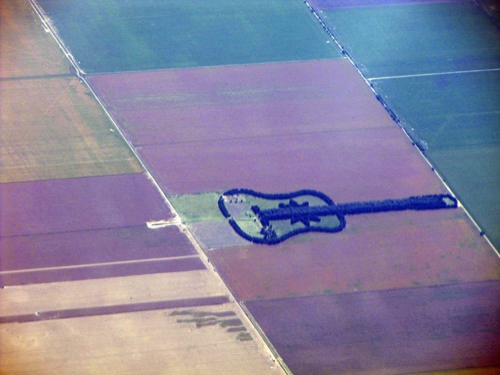 Лес в форме гитары в память о жене